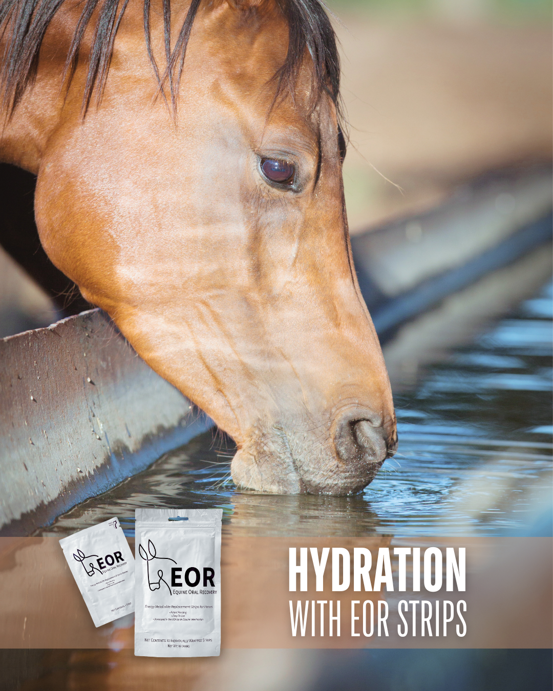 What Happened When We Measured Water Intake After Using EOR: Inside Our Hydration Study