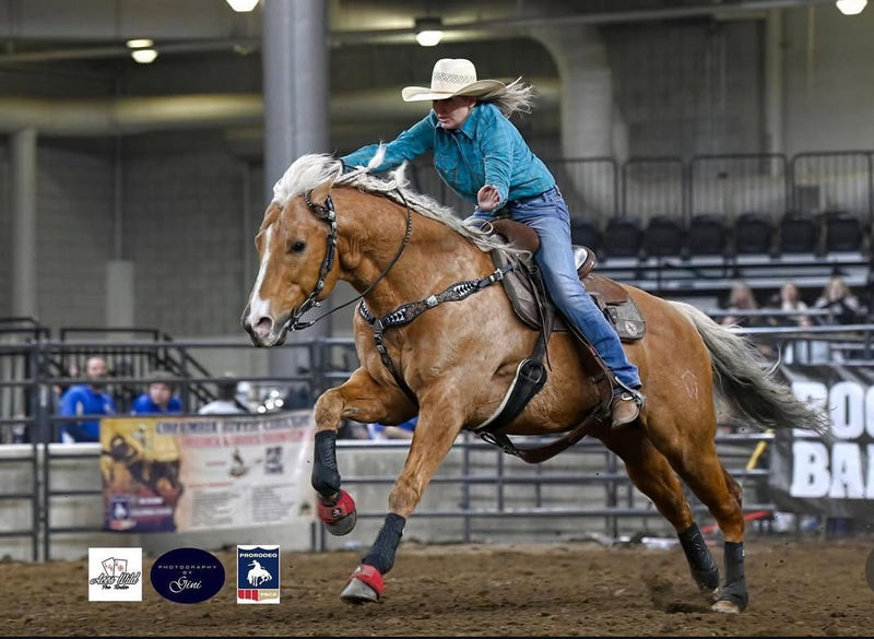 Person riding a horse in a rodeo arena with spectators and banners in the background